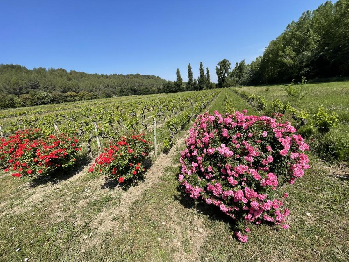 Chateau Talaud Loriol-du-Comtat Экстерьер фото